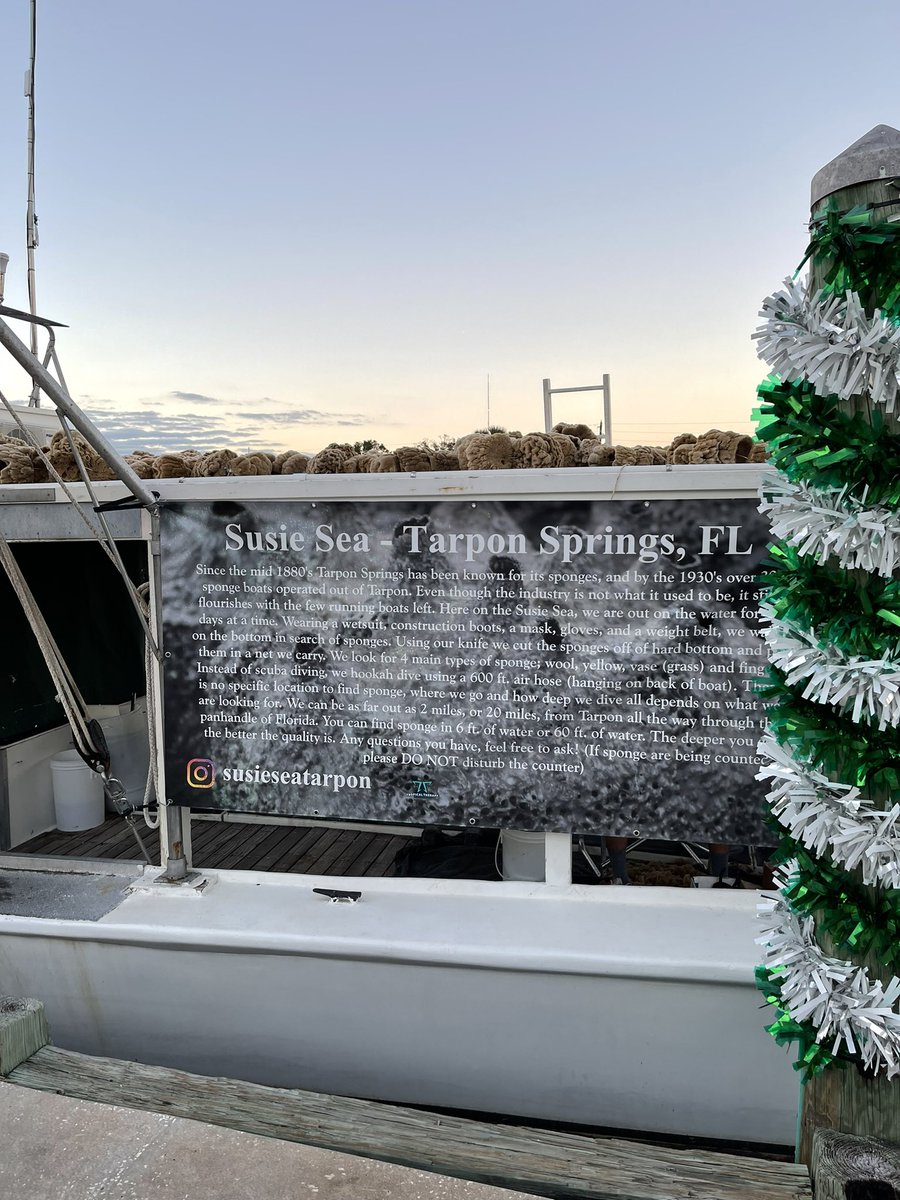 NYork75's tweet photo. Enjoyed a little bit of sightseeing…#spongedocks #tarponsprings https://t.co/9trzeRkMCR