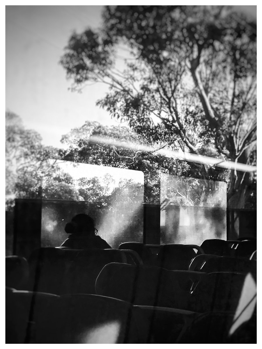 adityapanchal19's tweet photo. In this journey, we try, we cry, we fly, we die. https://t.co/NHbY379w0R