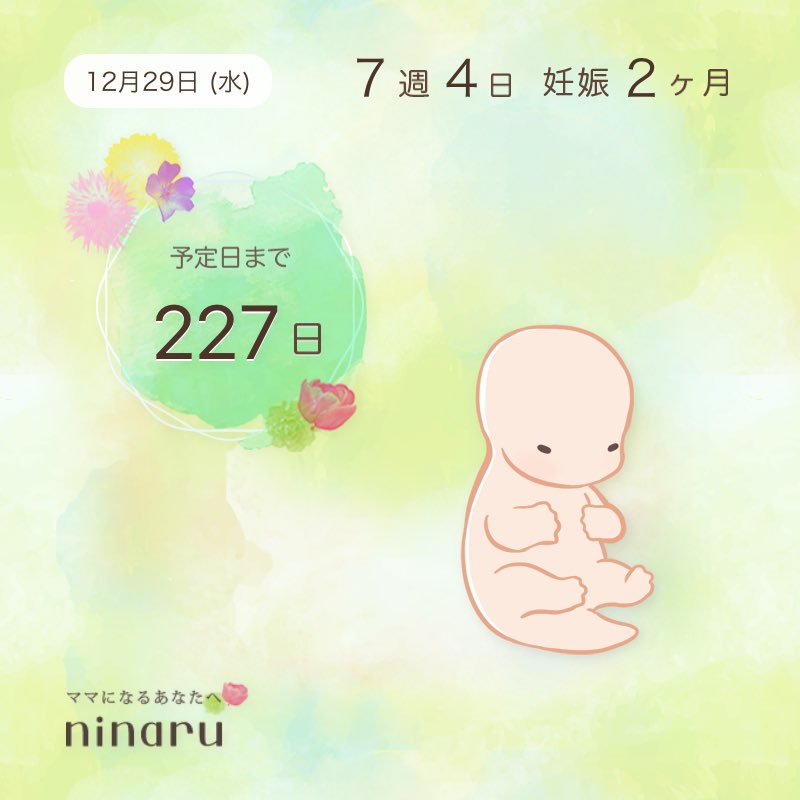 みんなの ゼリー ピザ 口コミ 評判 2ページ目 食べたいランチ 夜ごはんがきっと見つかる ナウティスイーツ みんなの ゼリー ピザ 口コミ 評判 2ページ目 食べたいランチ 夜ごはんがきっと見つかる ナウティスイーツ