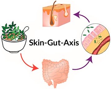 HOW DIET AFFECTS YOUR SKIN

(Thread)