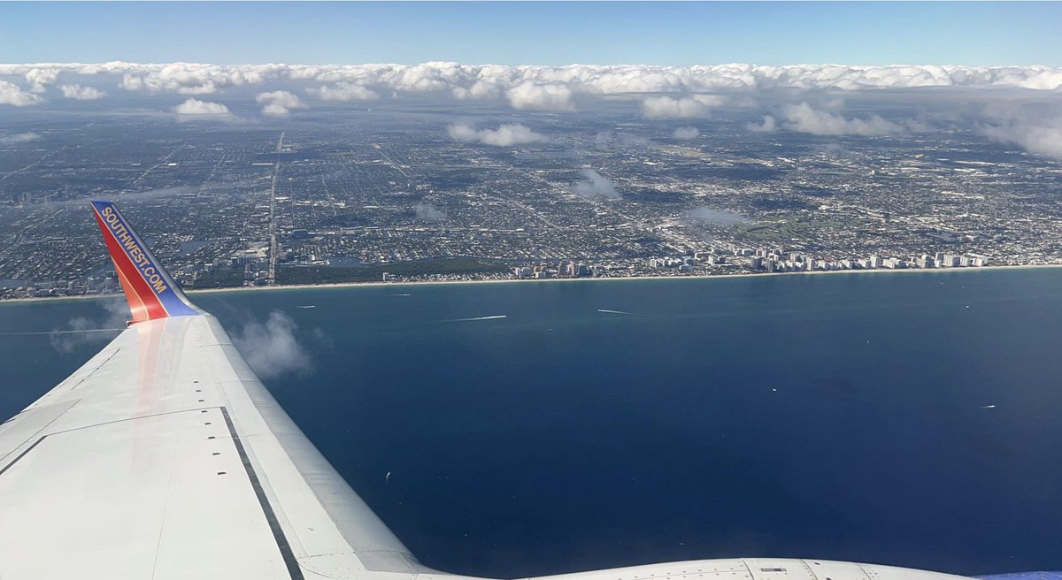 Andrew Morgenstern tweet media