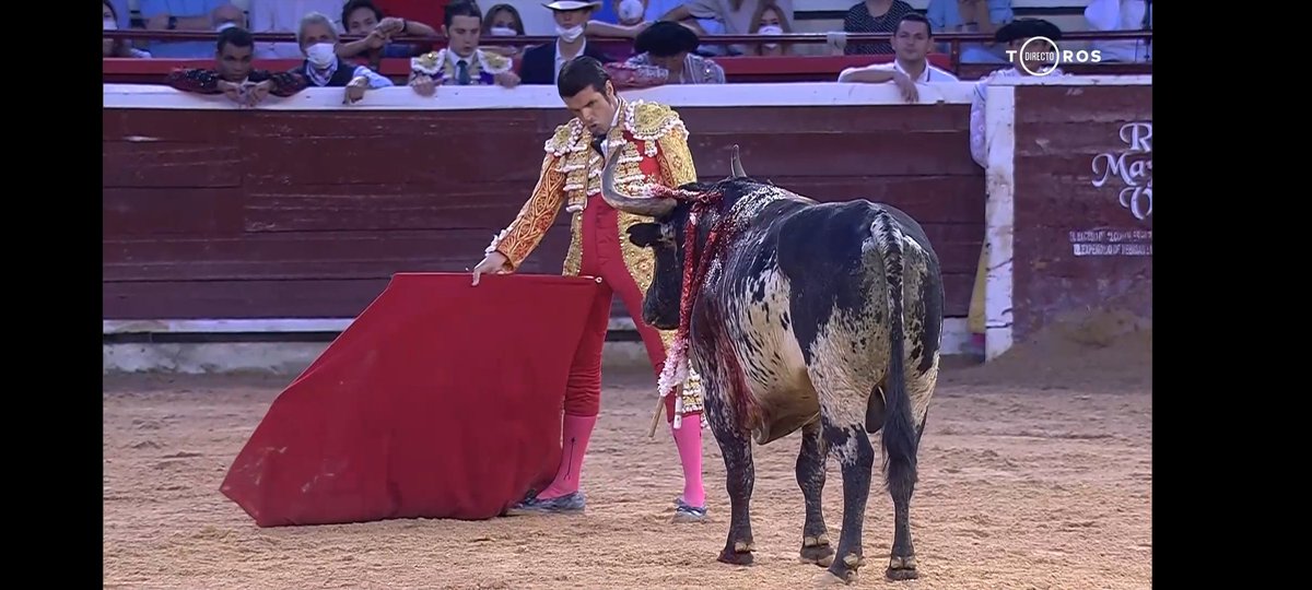 Edybm99's tweet photo. Emilio de Justo liandole una soberbia a su segúndo en Cali. Con variedad y rotundidad!!! Déjandonos buen sabor de boca y torería y garbo @purezatoros hierro de guachicono al que corta dos orejas @Aibabur @EmiliodeJusto #mitorero #EDJ2021 https://t.co/K4dlWUi38w