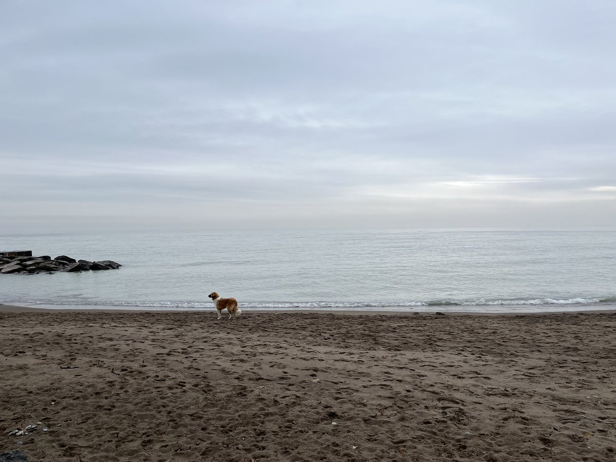 Walking used to be easier . Scenery’s still good though #Christmas