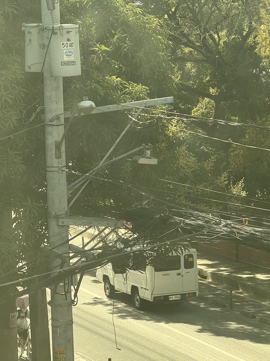 fabMie's tweet photo. @PasigInfo @VicoSotto: in a matter of weeks, matatapos na itong Bridgetowne along Amang Rodriguez Rosario. Itong mga puno na “registered” sa Pasig. Baka magising na lang kami tinabas na. These trees provided shade from the sun for pedestrians for years. https://t.co/Q70MbLtZYi