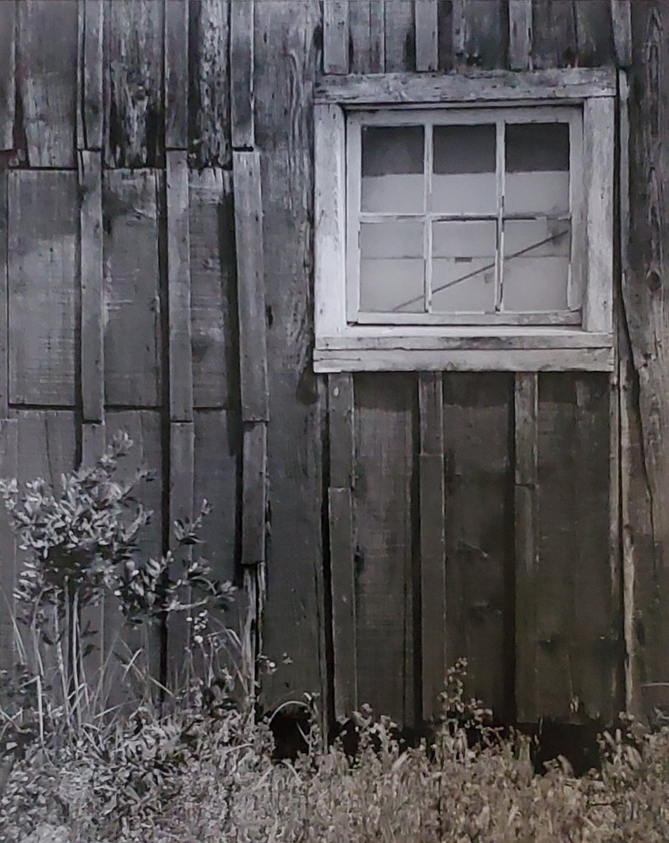 GranmaJeanMayer's tweet image. While I was passing through Moss Landing (CA) in 1988, I came across this structure that I call WINDOW &amp;amp; WEEDS. A very simple shot, yet is very powerful in it's simplicity and story telling.
