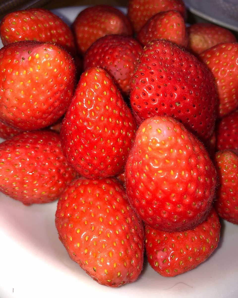 YI01118171's tweet photo. 大好きな苺の季節🍓
#苺 https://t.co/LJlYkAo6rv