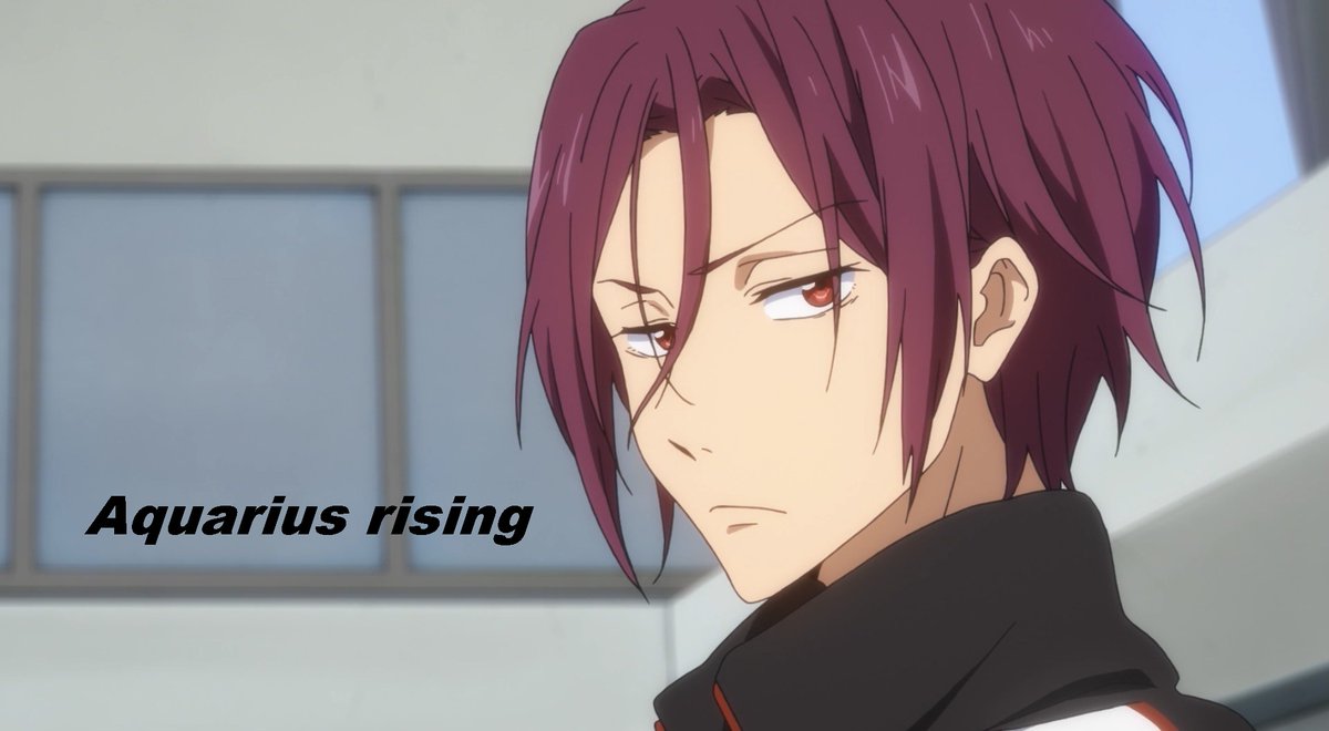 todos enanos cara de culo tal cual