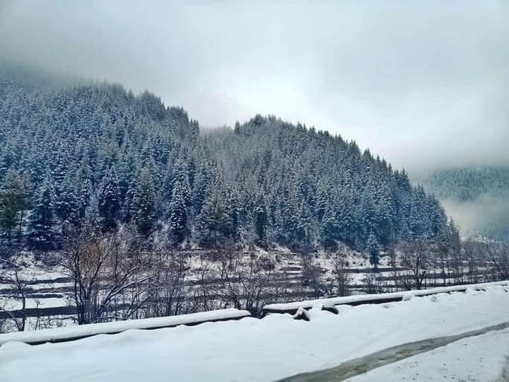 kumratvalley's tweet photo. دیر بالا: براول زلیخا تازہ برف باری کے بعد ۔برف کی چادر اوڑھے ہوۓ خوبصورت درخت
اور پہاڑ۔
#snowfall2021 #snow #kumrat #dir #Barawal https://t.co/pFGwFZctA1