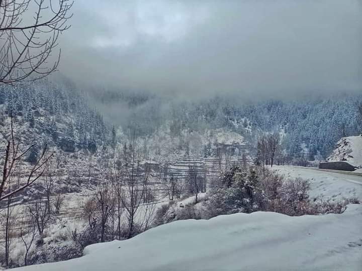 kumratvalley's tweet photo. دیر بالا: براول زلیخا تازہ برف باری کے بعد ۔برف کی چادر اوڑھے ہوۓ خوبصورت درخت
اور پہاڑ۔
#snowfall2021 #snow #kumrat #dir #Barawal https://t.co/pFGwFZctA1