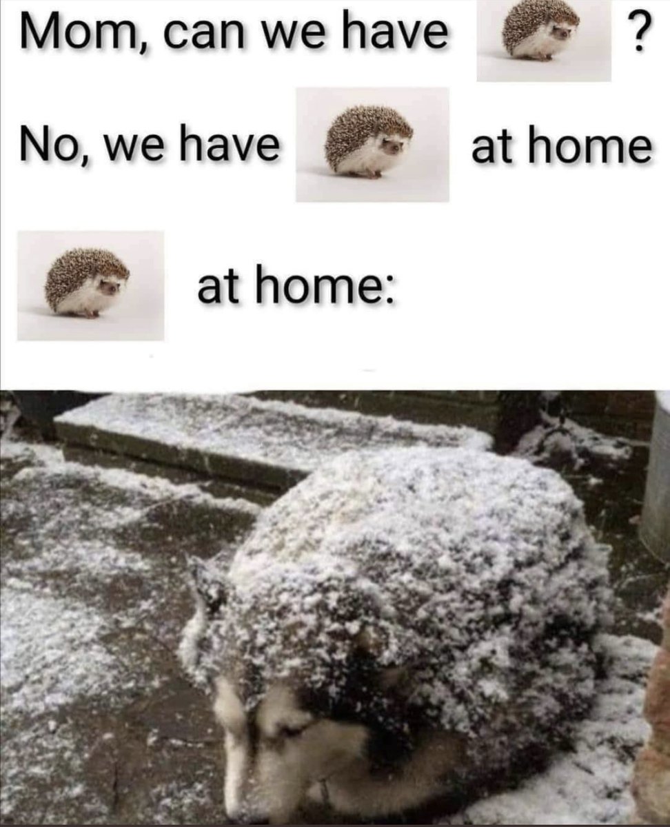 RespectfulMemes's tweet photo. https://t.co/VXLt4oZqBc