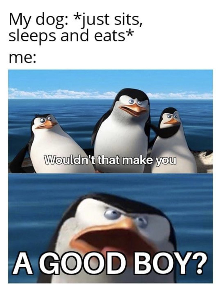 RespectfulMemes's tweet photo. https://t.co/vL61tYTOQv