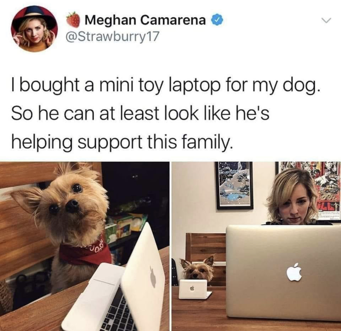 RespectfulMemes's tweet photo. https://t.co/Y7QIZy4Geu