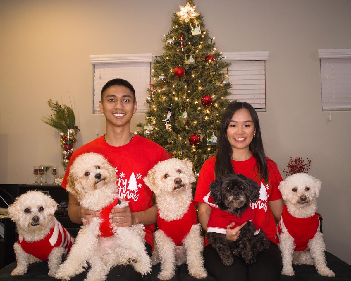 itsvaan's tweet photo. Christmas with my bears 🐶🎄 https://t.co/RhxHjrEovE