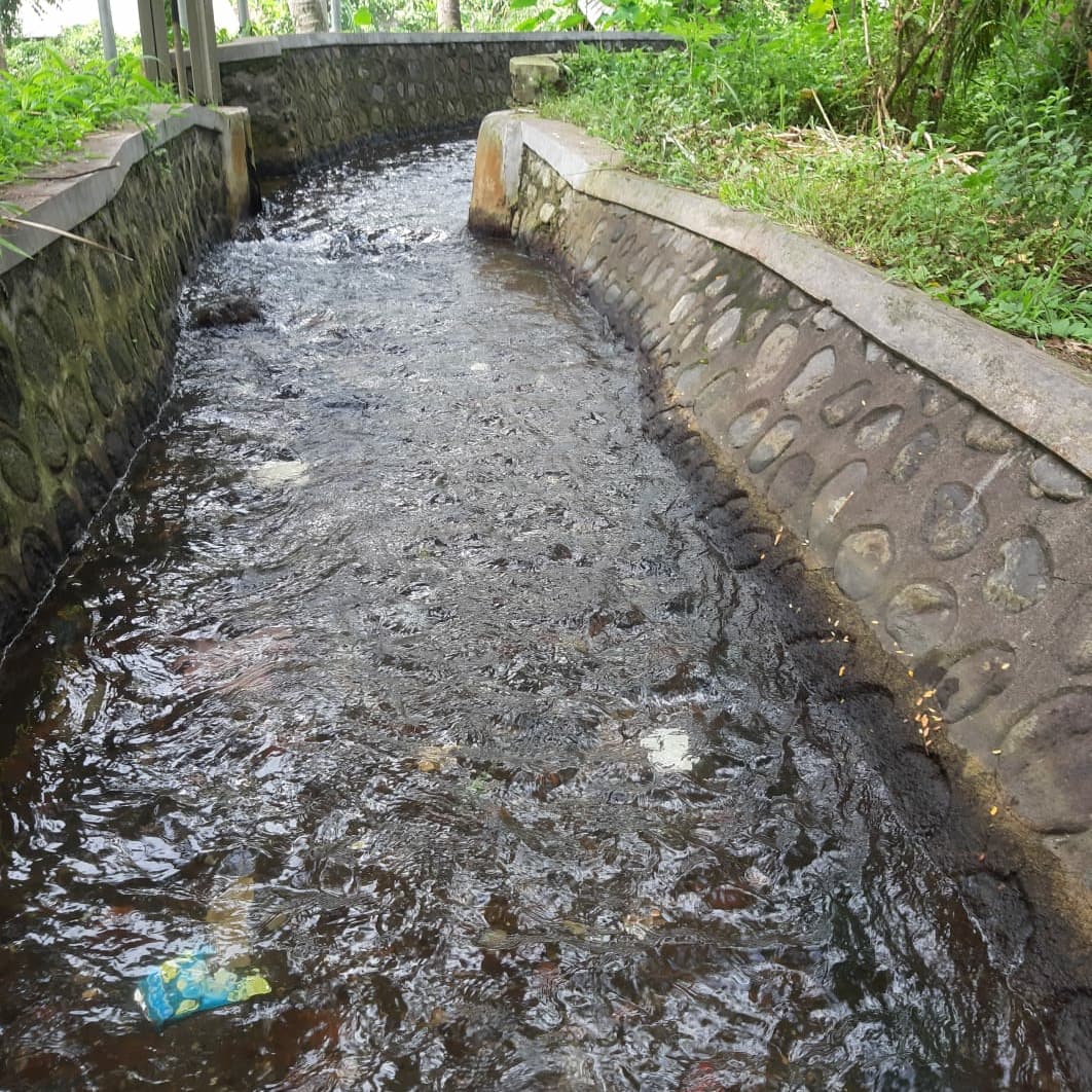 Korsda_Bwi's tweet photo. Kegiatan rutin babat rumput di PA Gebang juru wilayah Kalipuro. Cc @PengairanBwi @p50_guntur https://t.co/P52mKvjaPt