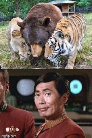 JeanLuc_Picard's tweet photo. https://t.co/RR8jJ2kSje
