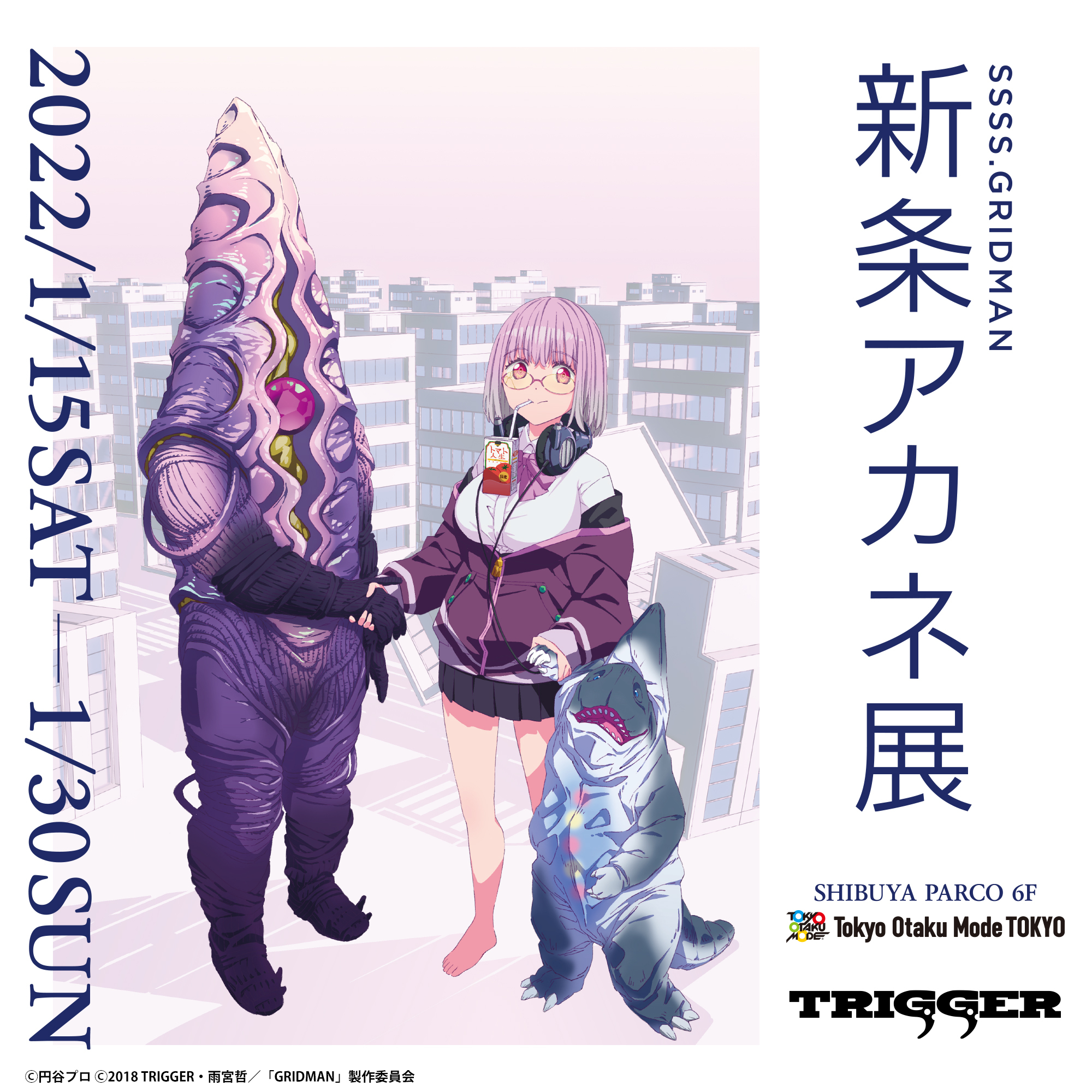 完売】 SSSS.GRIDMAN 新条アカネ アクリルスタンド agapeeurope.org