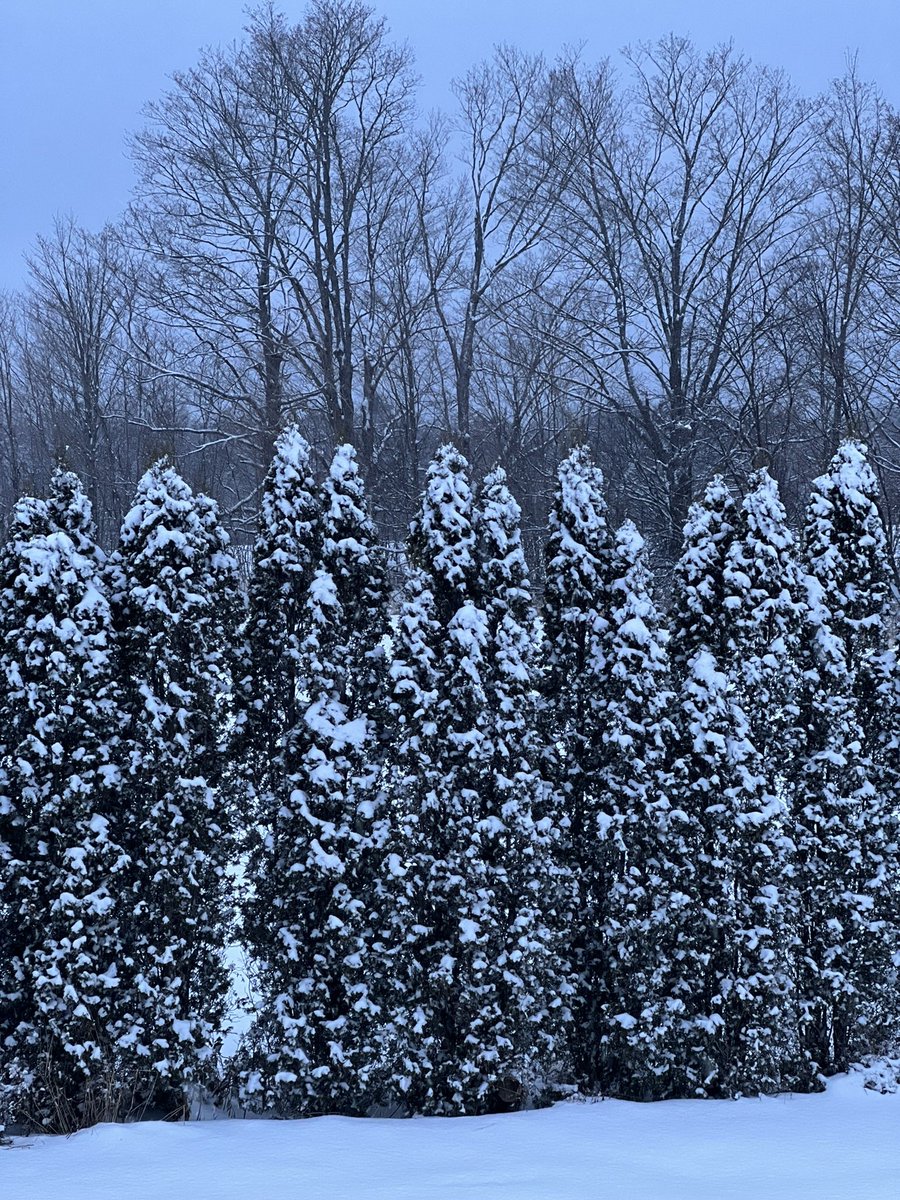 If winter wasn’t so cold it would be beautiful.