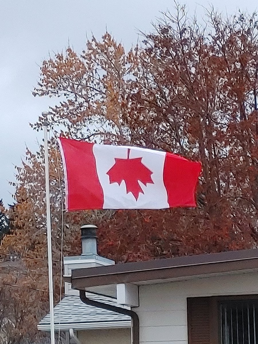 4Life4Reel's tweet photo. @DeeRealLife Canada is hanging on by a Twitter thread. https://t.co/GrTkMfsPB6