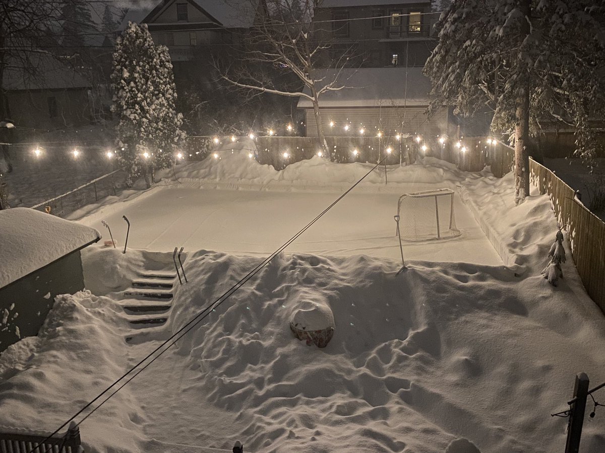 Dana Lindaman tweet media