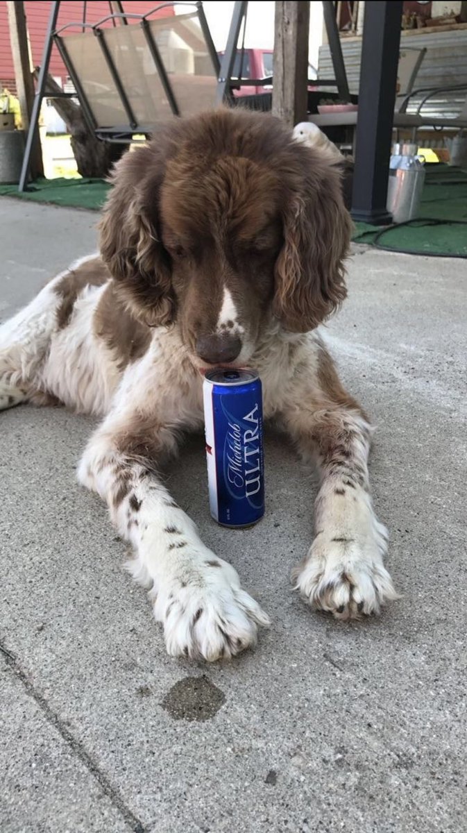 chicos_s's tweet photo. @MichelobULTRA https://t.co/f7YddZOT9s