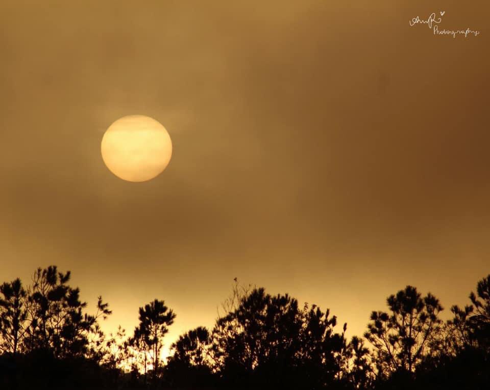 The heavens declare the glory of God; the skies proclaim the work of his hands.