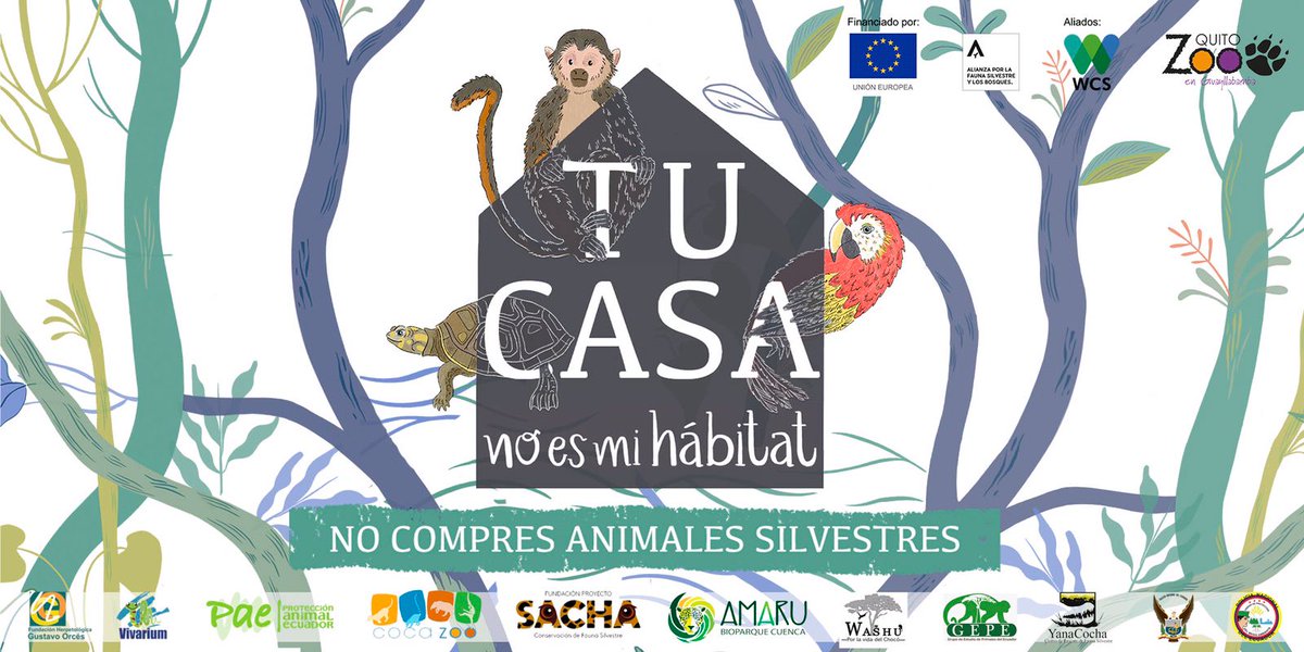 GEPE_ecuador's tweet photo. El tráfico y comercialización ilegal de fauna silvestre causa graves consecuencias: pérdida de biodiversidad, extinción de especies, diseminación de enfermedades zoonóticas, entre otros. 

¡No compres animales silvestres! https://t.co/BrAva2vY4v