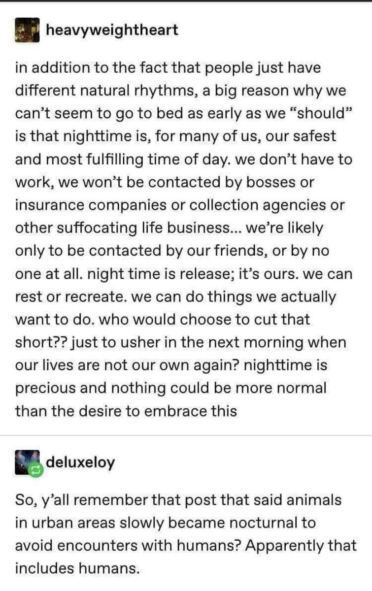 Silly me (@thesleeppeople) on Twitter photo 