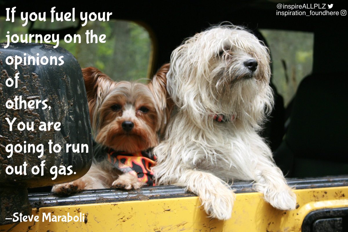 inspireALLPLZ's tweet photo. #quoteoftheday #WordsToLiveBy #LifeLessons https://t.co/tgxWfMIYSm
