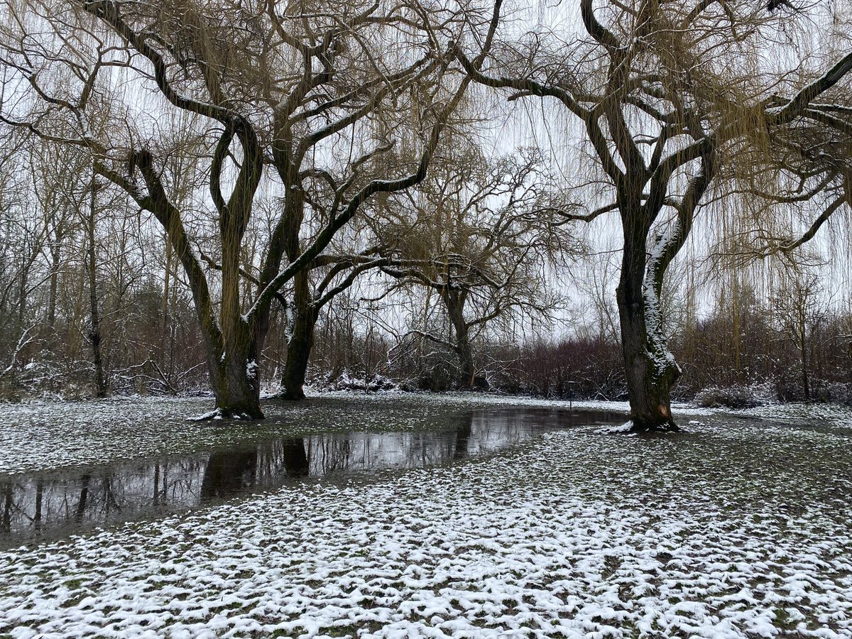 billifer1973's tweet photo. Dreary or beautiful? https://t.co/SjuhXgsMPc