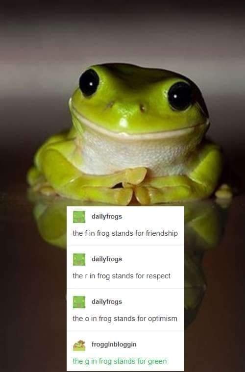 WholesomeMemes (@wholesomememe) on Twitter photo 
