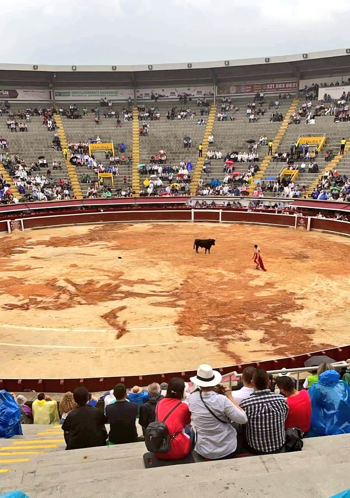 MIOusuarios's tweet photo. Ojo, esto tampoco es una inocentada pero da un poco de alegria ver que la gente empieza a entender que la "fiesta brava" no es sana y la apologia al maltrato animal poco a poco se queda sin "adeptos" https://t.co/t9vlT0l2uz