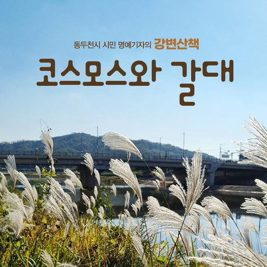 [강변산책 '코스모스와 갈대']
높고 푸른 하늘이 아름다운 가을🍁
시민 명예기자의 가을 느낌 물씬나는 우리동네 강변공원 신천변 산책기. 코스모스와 갈대가 얼마나 아름다웠는지 함께 보러가실래요?🙂
※ 강변산책기 보러가기 ※
blog.naver.com/ddccity/222564…