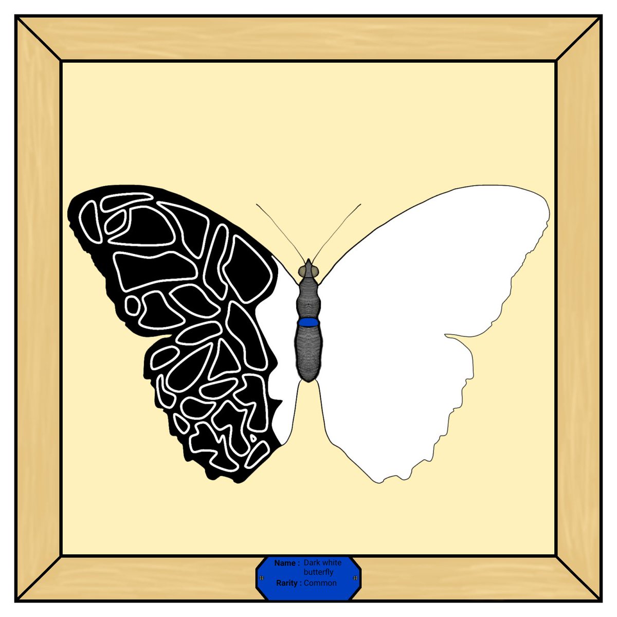Butterfly__NFT's tweet photo. Rare - dark white butterfly
A very unique butterfly, someday I will write a story about it.
#NFT #NFTs #nftcollectors #nftart https://t.co/8EzItsA6nb