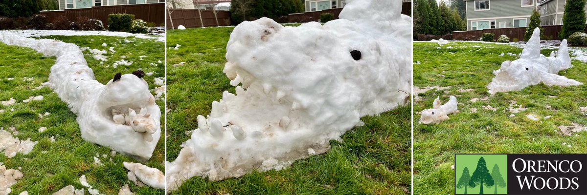 NewsOrenco's tweet photo. This is creativity! A shark family and a cobra appeared after our latest snowfall. #SnowArt #OregonSnow https://t.co/eAHx4AeVMG