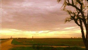 unvaxx's tweet image. 