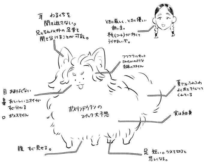 私が思うポメリンドウクン 