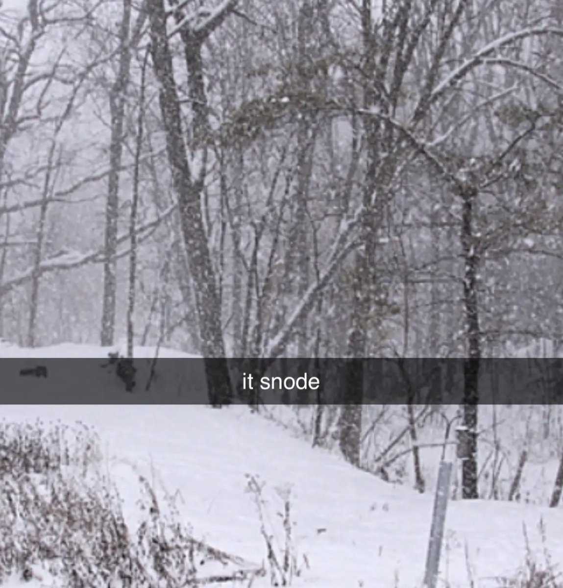 rad_milk's tweet photo. it snode https://t.co/aq8FFmkox9