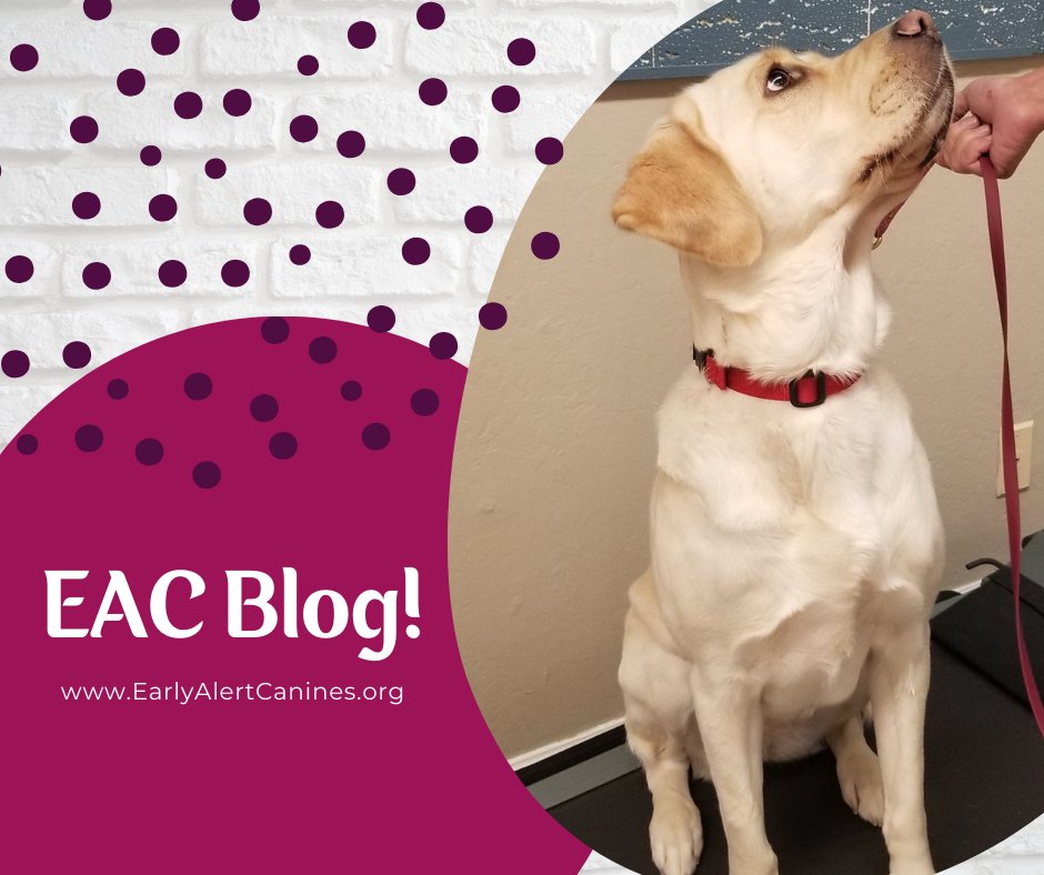 EarlyAlert's tweet photo. Want to stay up-to-date? Be sure to check out the EAC Blog to find news, updates, and more!
https://t.co/RFVStm9q4D
#t1d #ServiceDogs #DiabeticAlertDogs #EarlyAlertCanines #Diabetes #t1dlookslikeme https://t.co/3WxOEIihZn