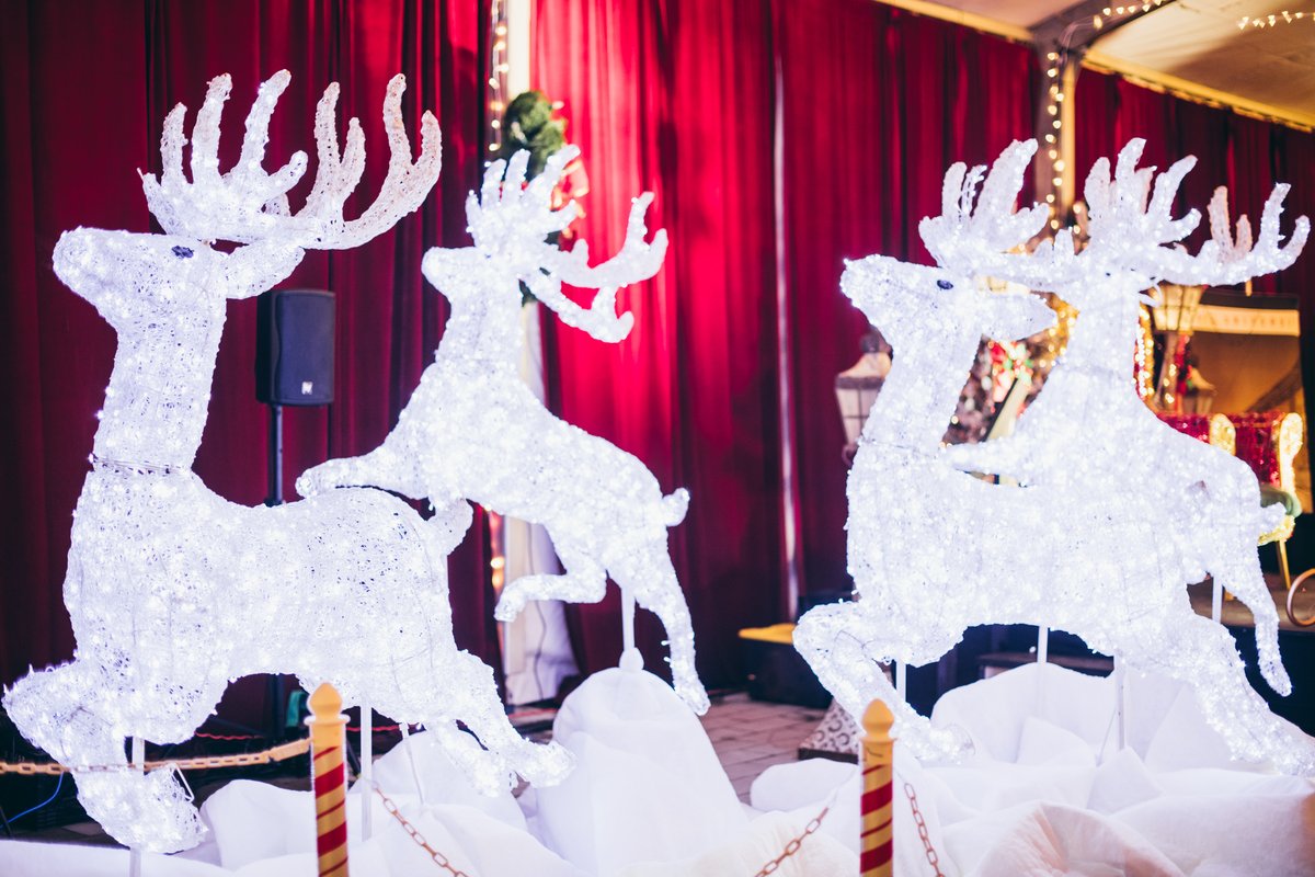Happy Holidays from Surrey Holiday Lights! ❄️