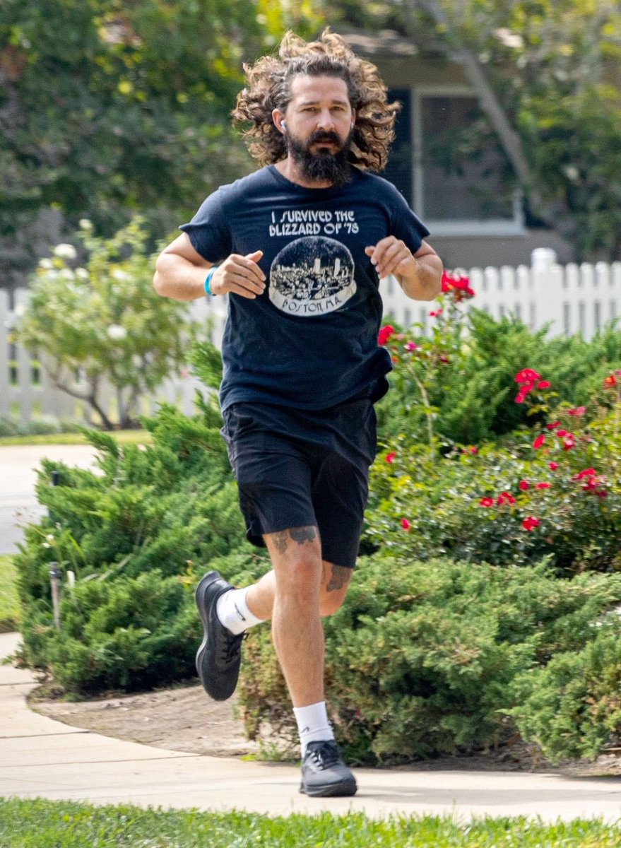 Why is Shia LaBeouf so hot? https://t.co/V6NPJTx6sy