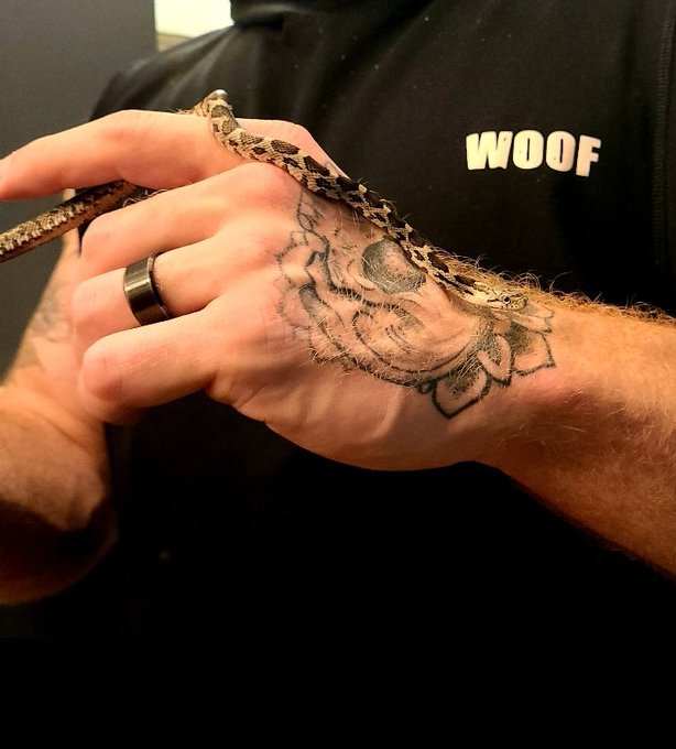 Everyone, meet our new baby, Trouser. https://t.co/mnqWQdqArq<a href="/tag/ripbettywhite"class="tags"><span>#ripbettywhite</span></a>