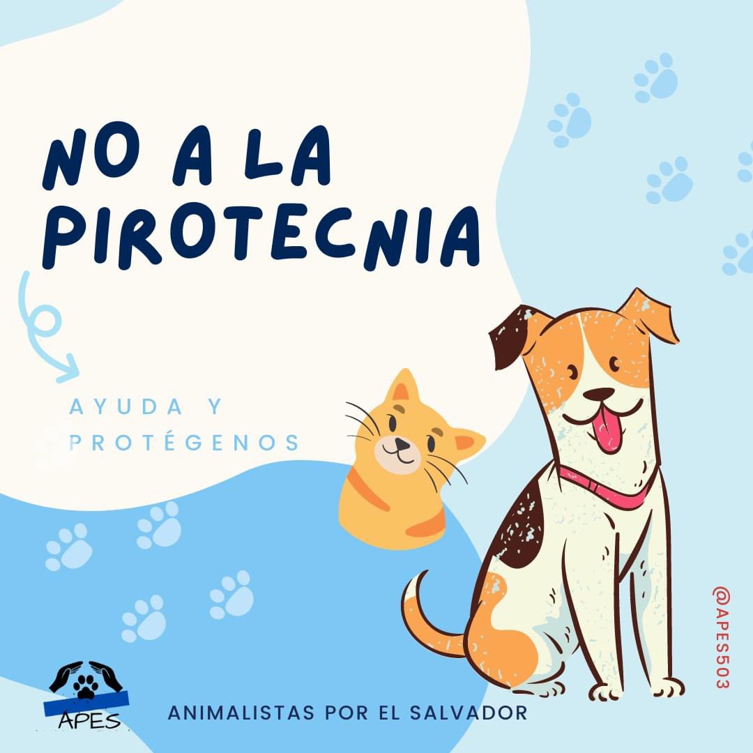 APES503's tweet image. Protejamos a nuestras mascotas y a los abandonados en las calles.  
#Navidad2021 #adoptanocompres #nolosabandones #NoALaPirotecnia #NoALaPolvora #AdoptDontShop