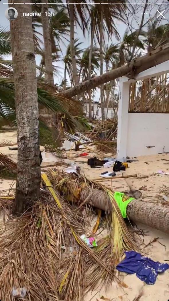 inquirerdotnet's tweet photo. 'THE COCONUT ROAD NOW'

LOOK: Nadine Lustre on her Instagram shared the damages left by Typhoon #OdettePH in the Coconut or Palm-lined Road, one of Siargao Island’s famous spots.

The singer-actress returned to Siargao to join relief operations for the typhoon victims. | 📷Lustre https://t.co/eZwghoresh
