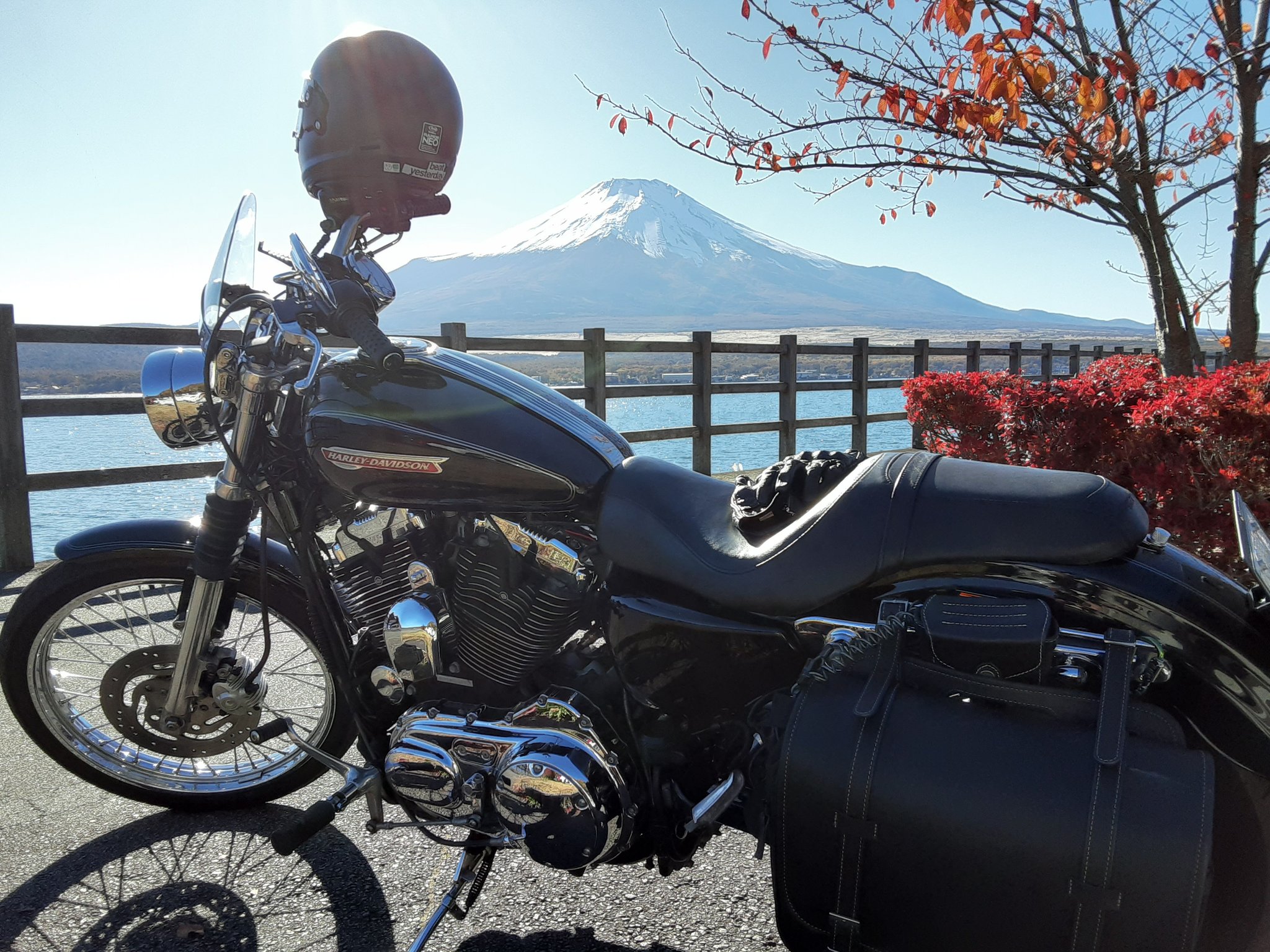 𝑇𝐾 𝑅𝑖𝑑𝑒𝑟 Tk Rider9 Twitter