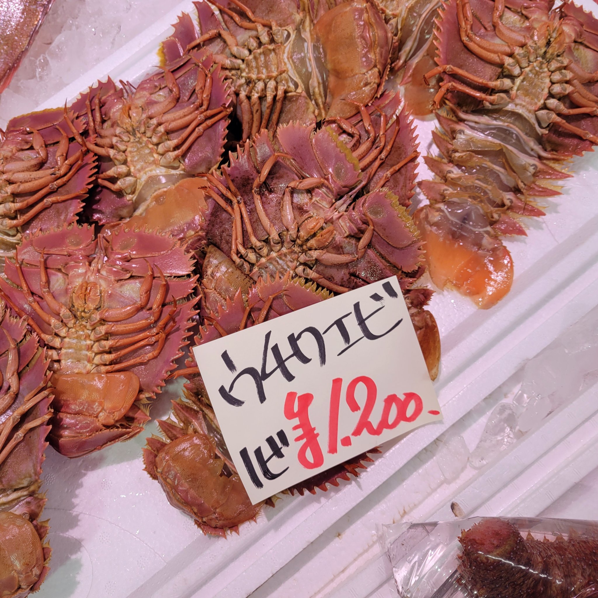 山陰浜田港 渡辺鮮魚店 Watanabesengyo Twitter