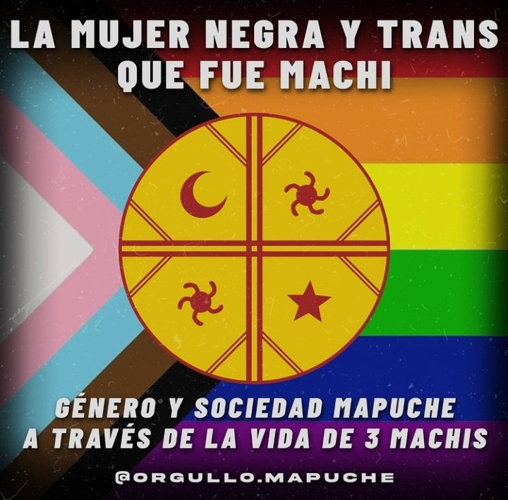 OTDChile's tweet photo. Existimos y resistimos en más de mil culturas!
https://t.co/CcoBMjXKcD
📷 #orgullomapuche https://t.co/MF2eSjW4pe