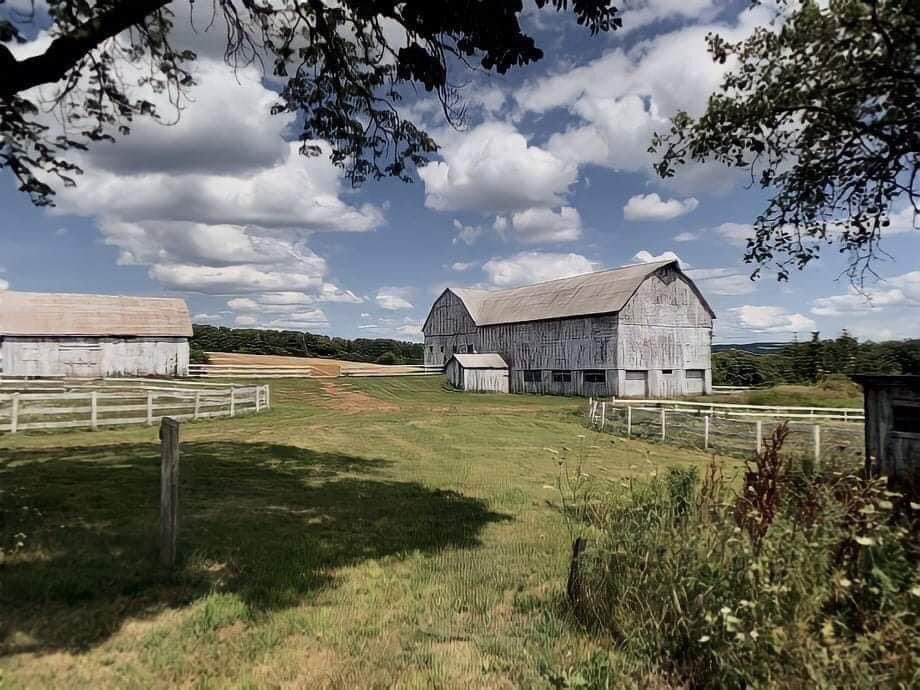 Details from "Anne with an e"