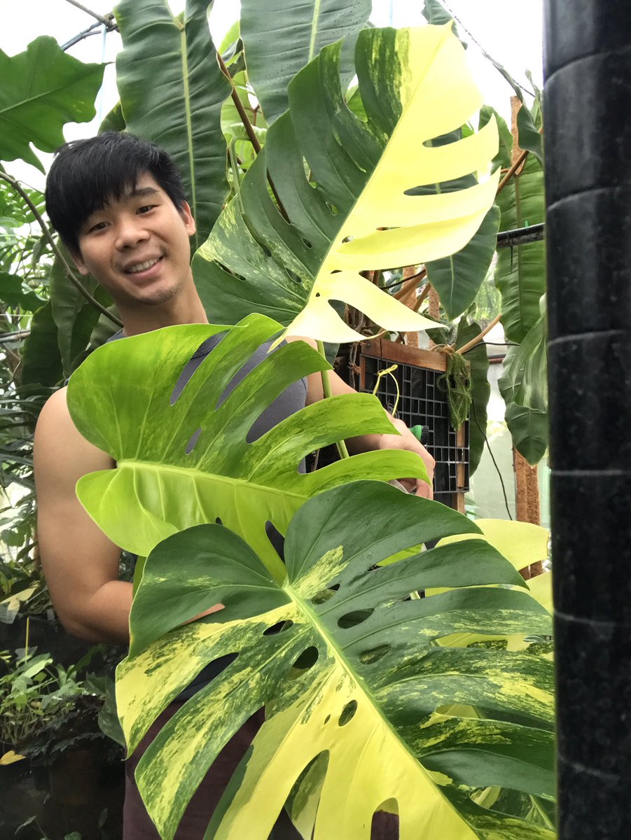 sukwongchan's tweet photo. ช่วงไม่ขัด…..ก็จัดให้ตลอดนะ 😏 https://t.co/RKmfnP9pqy