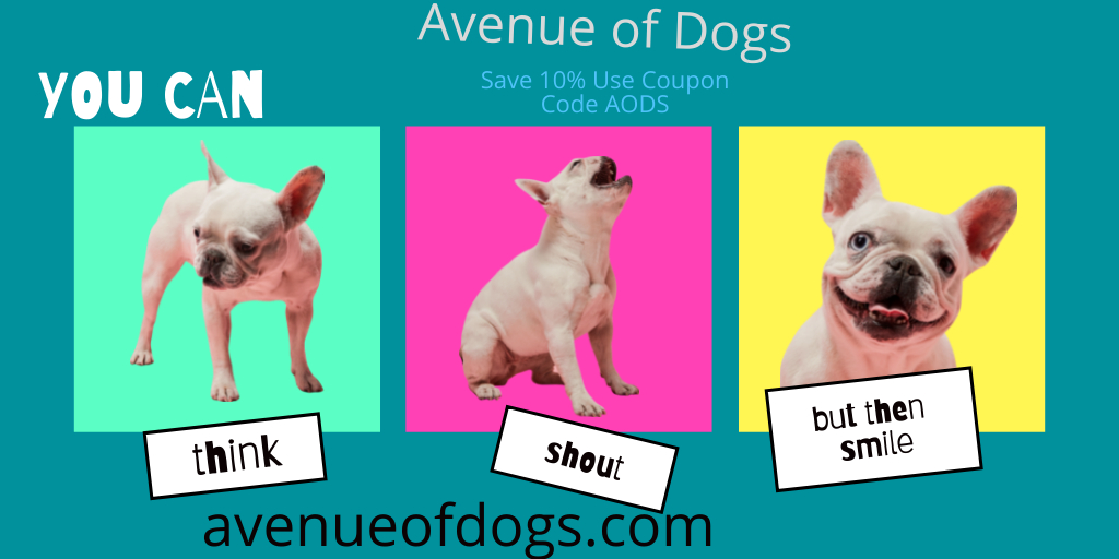 avenuedogs1 tweet picture