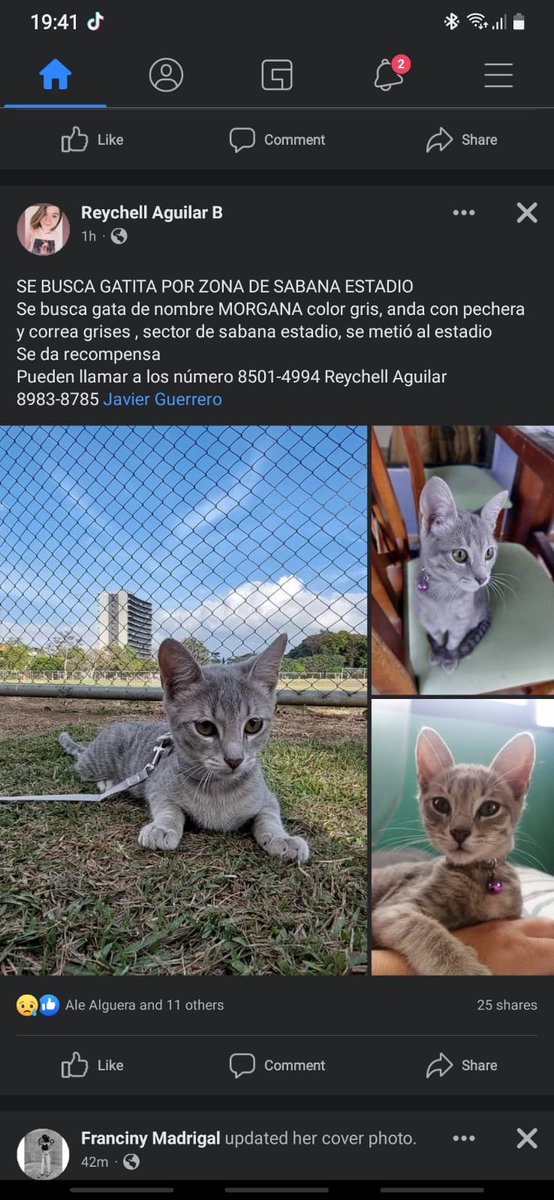 Reych (@reych_aguib) on Twitter photo 